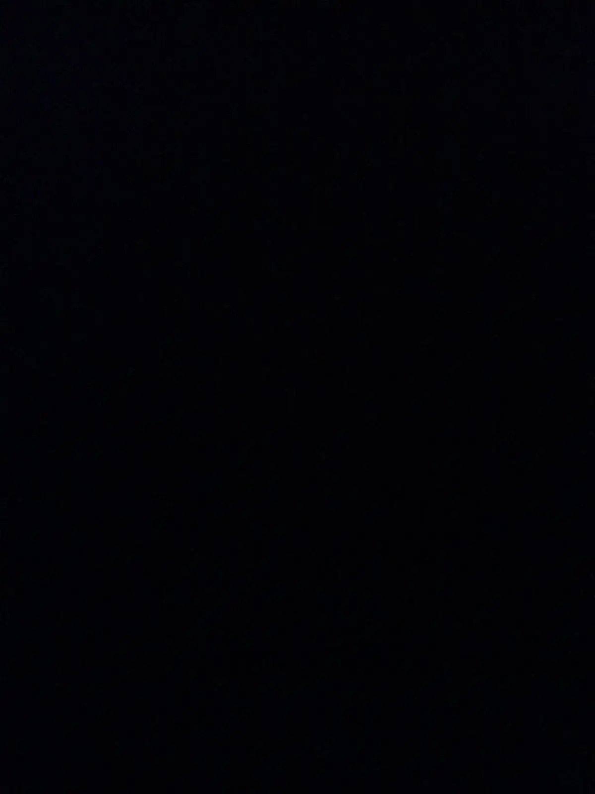 My_sunshine.Felix의 신수 동물원