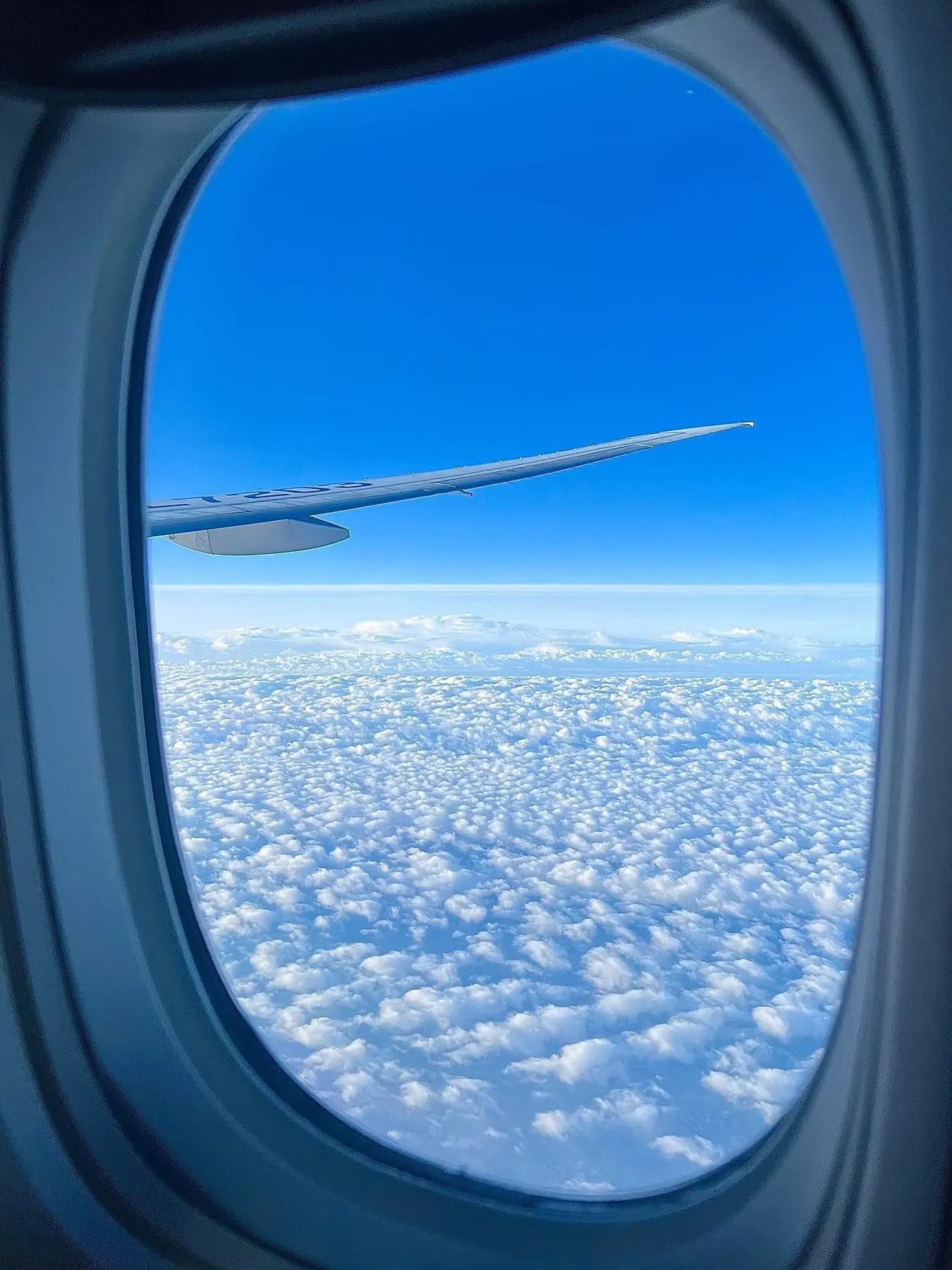 GreasyOkapi7014의 엔믹스 [GL]