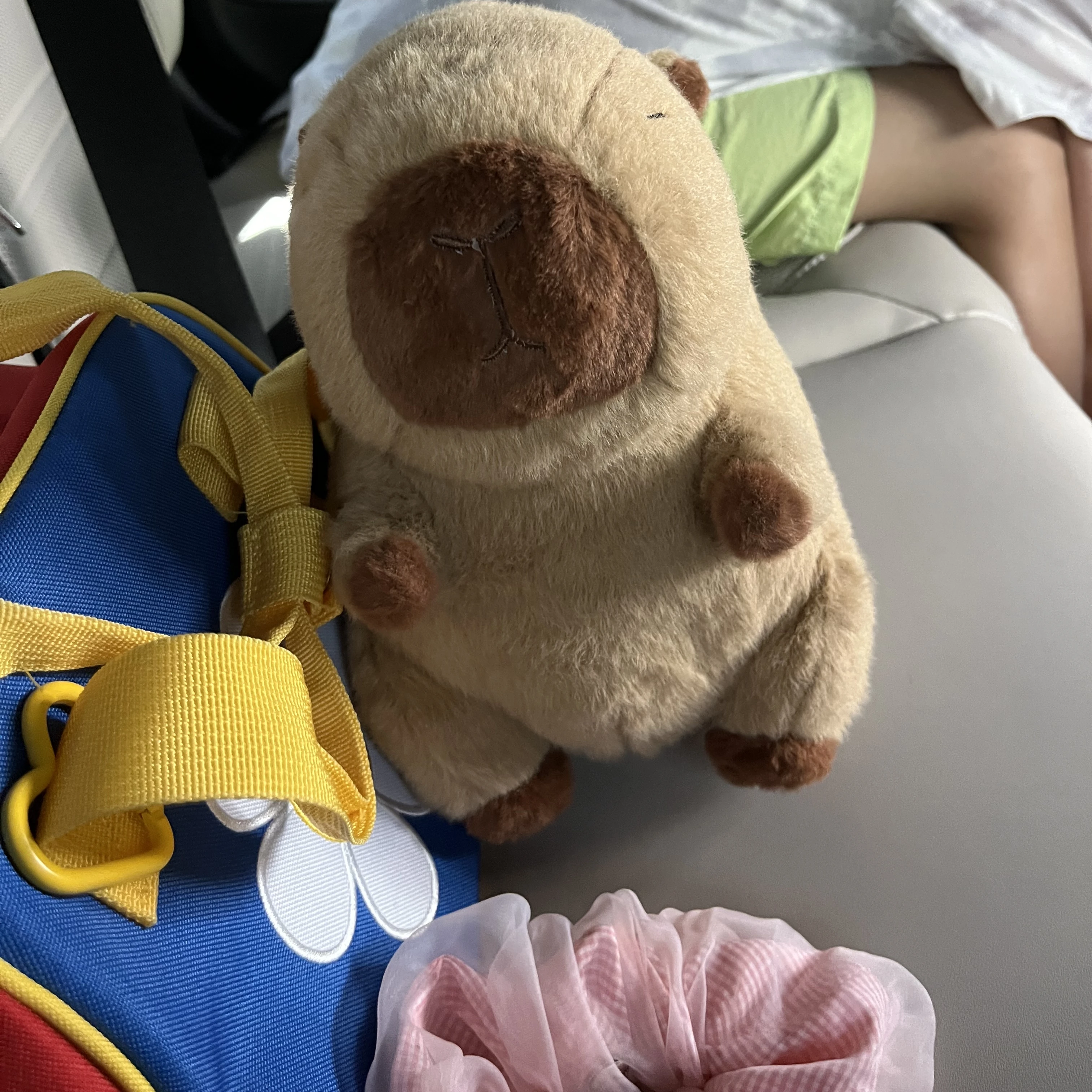 고고 프렌즈 여우