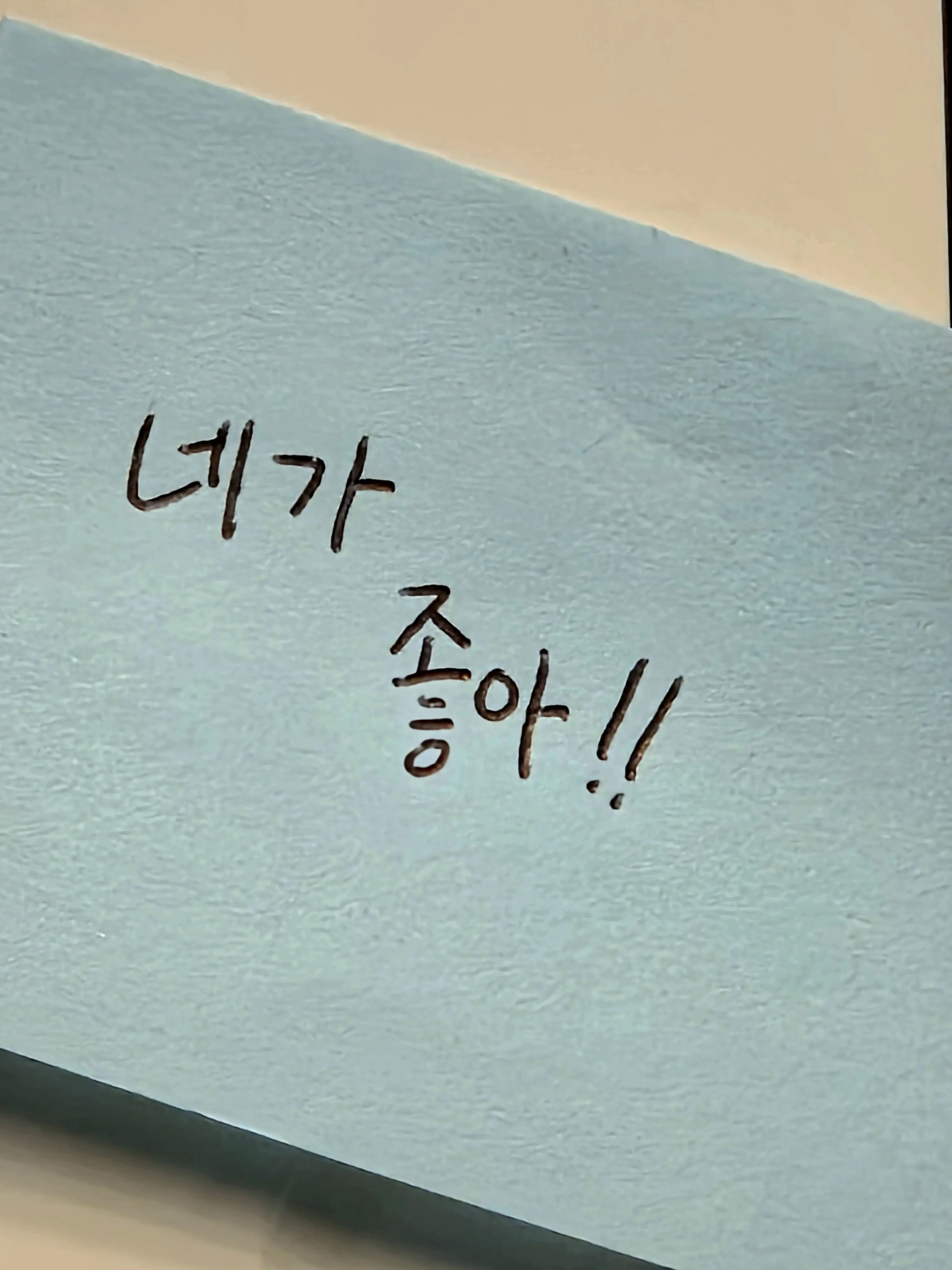 UrbanLever8471의 내 룸메가 강아지였다...?