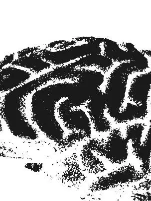 B-9의 BRAIN MAN