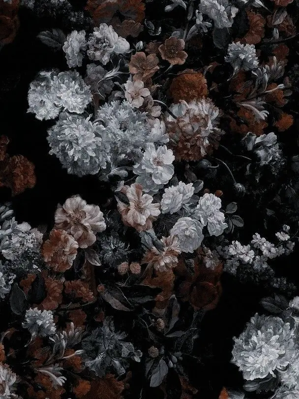 38_5.meow의 かっこつけたい彼氏くん