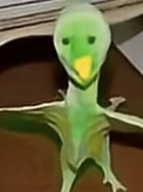로블록스 라이벌을 해보세요! 대표 이미지