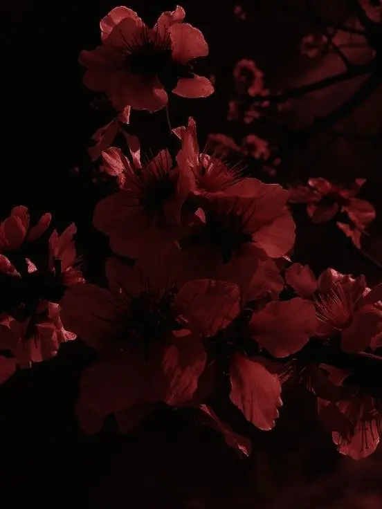 Incendiary의 ⓀⒾⓁⓁ ⓂⒺ