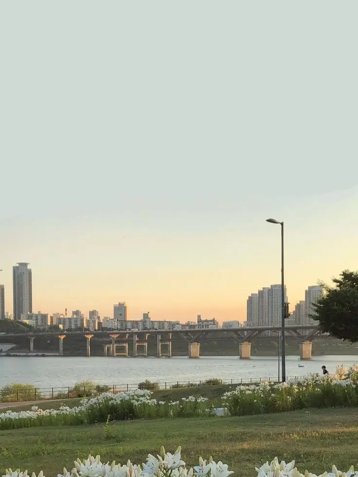 setsuki6719의 비스트고등학교