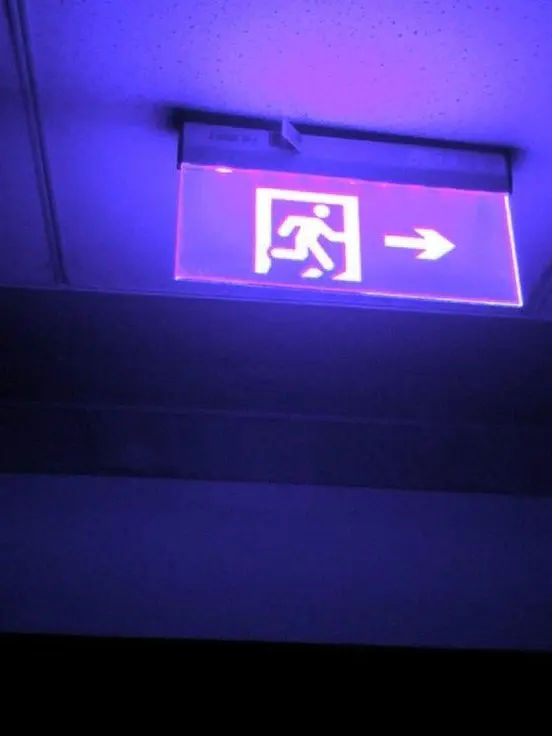 Rrnao__의 진나솔