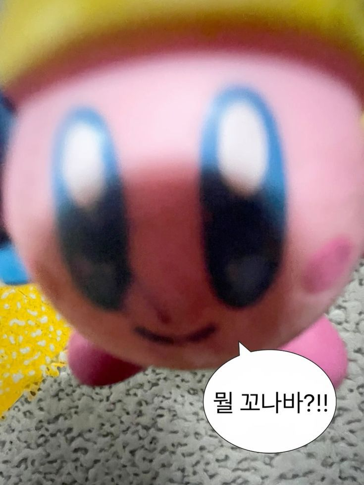 컨트리휴먼 대표 이미지