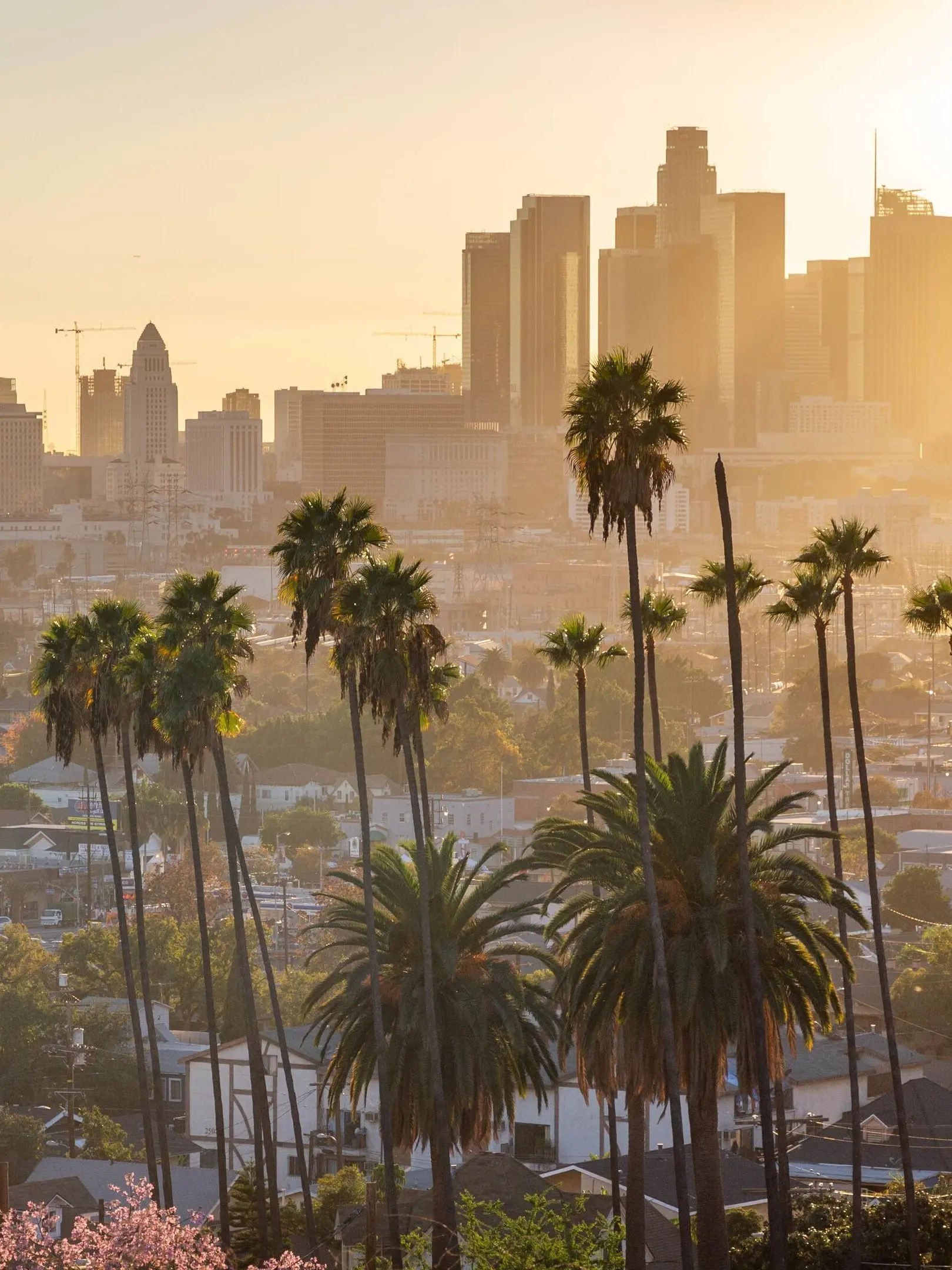 SplashGoat9156의 Los Angeles RPG