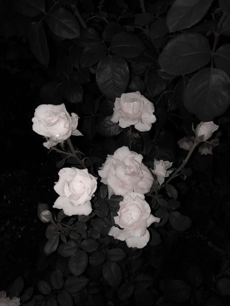 救い︎︎︎ 대표 이미지