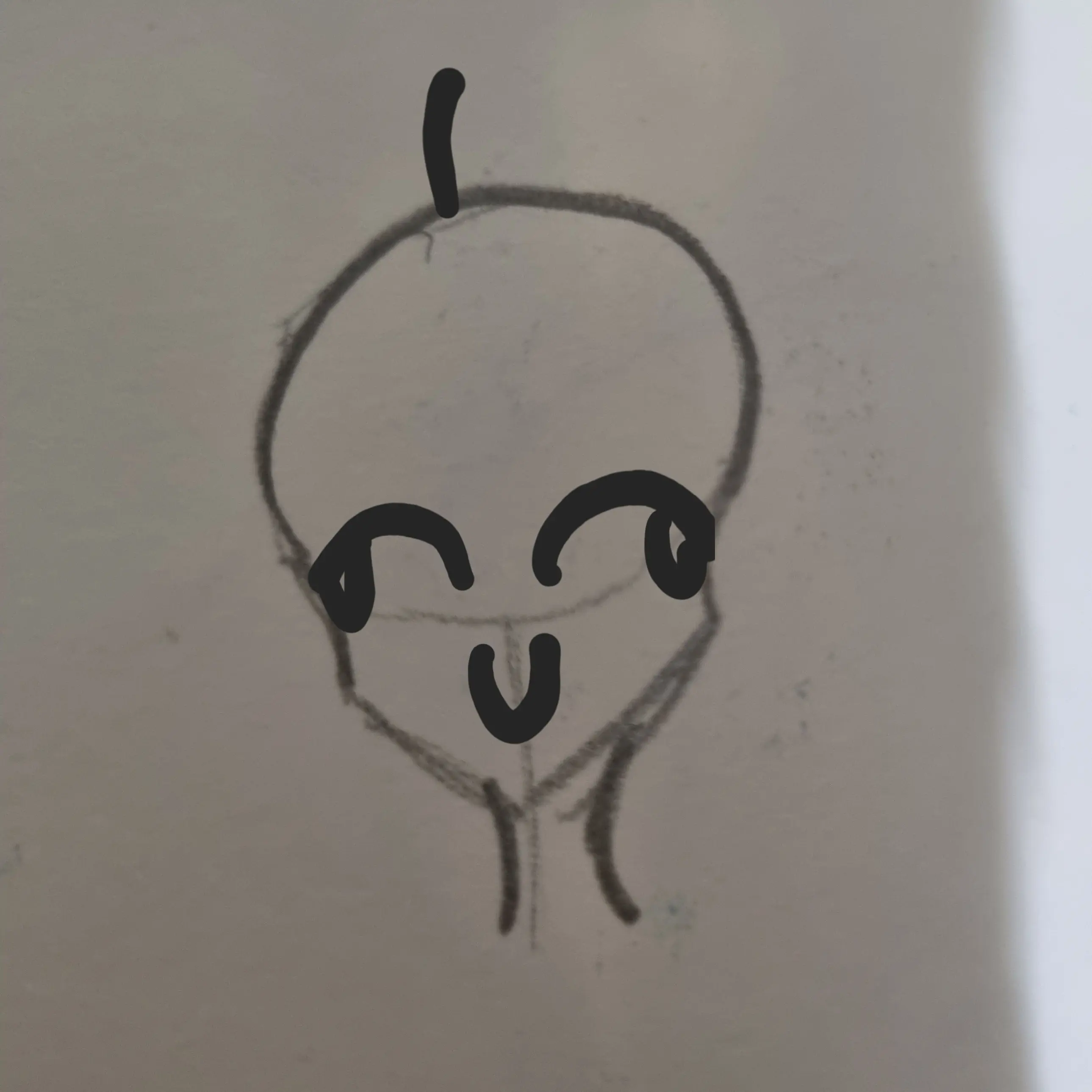 WildRat3061의 거짓조