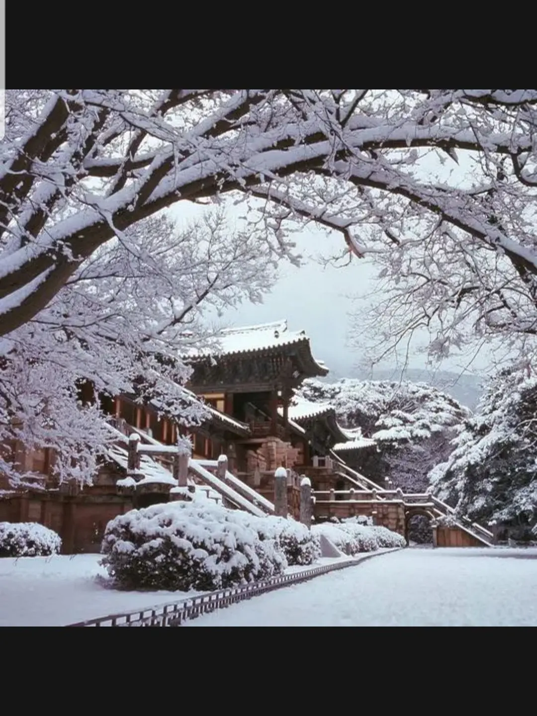 LushMind6059의 사탕섞기!