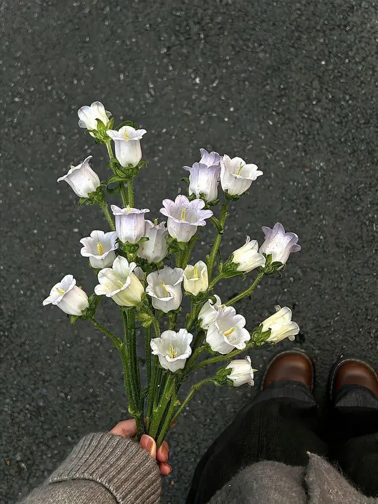 Itycode221의 토쿠노 유우시