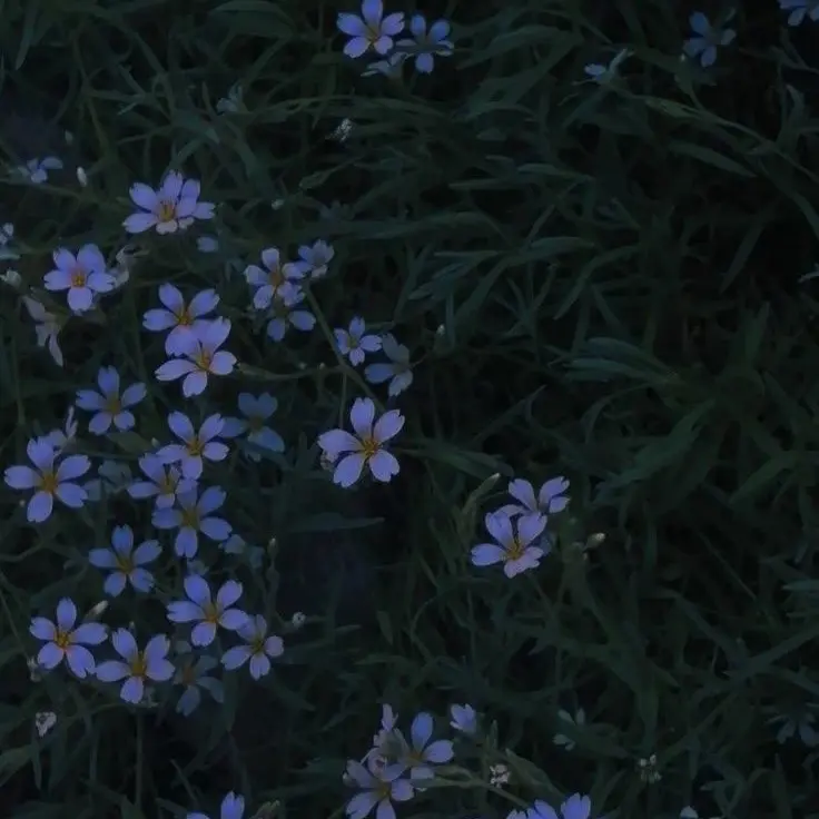 U.m1x_stan의 白雲朧