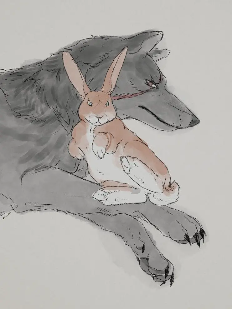 HotFranc6211의 Haron (Wolf X Rabbit)