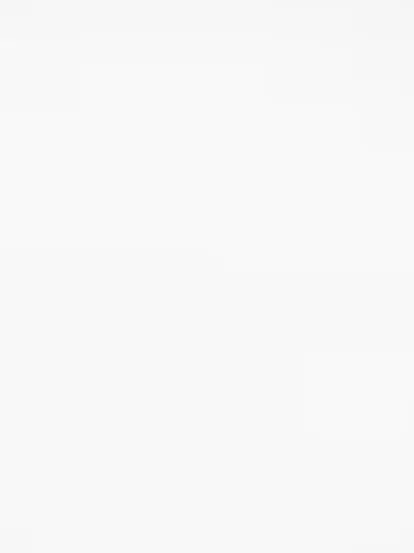 RainyCoast0744의 하트해적단+여우