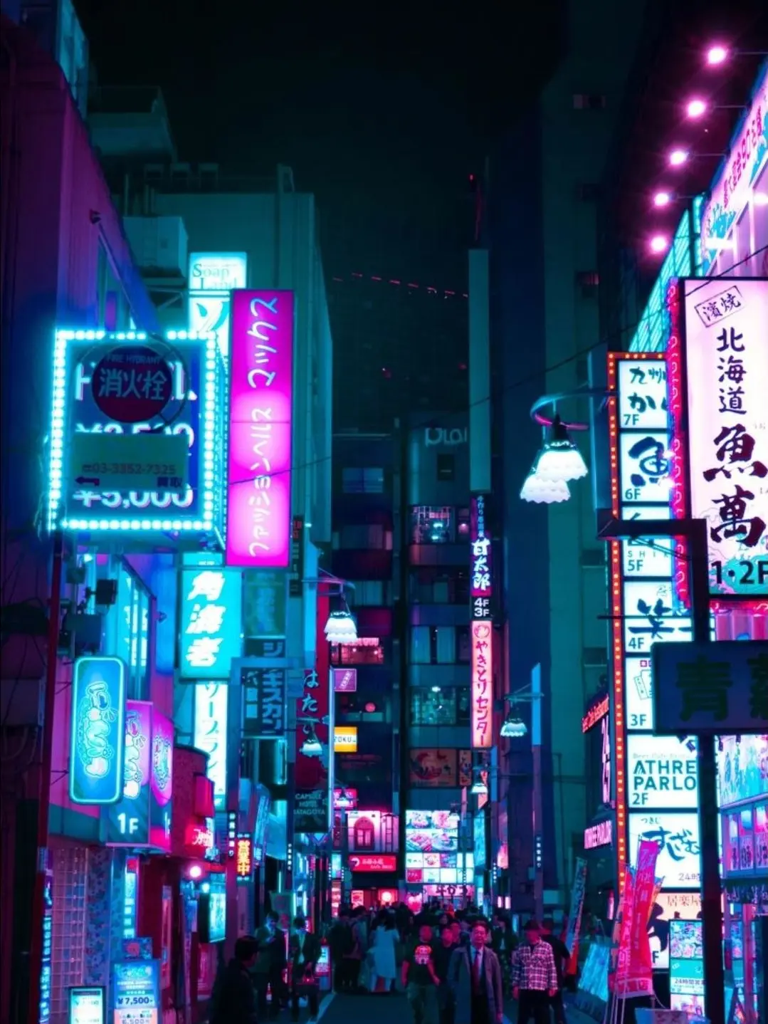 44861002의 언더웹