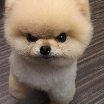 남사친12명