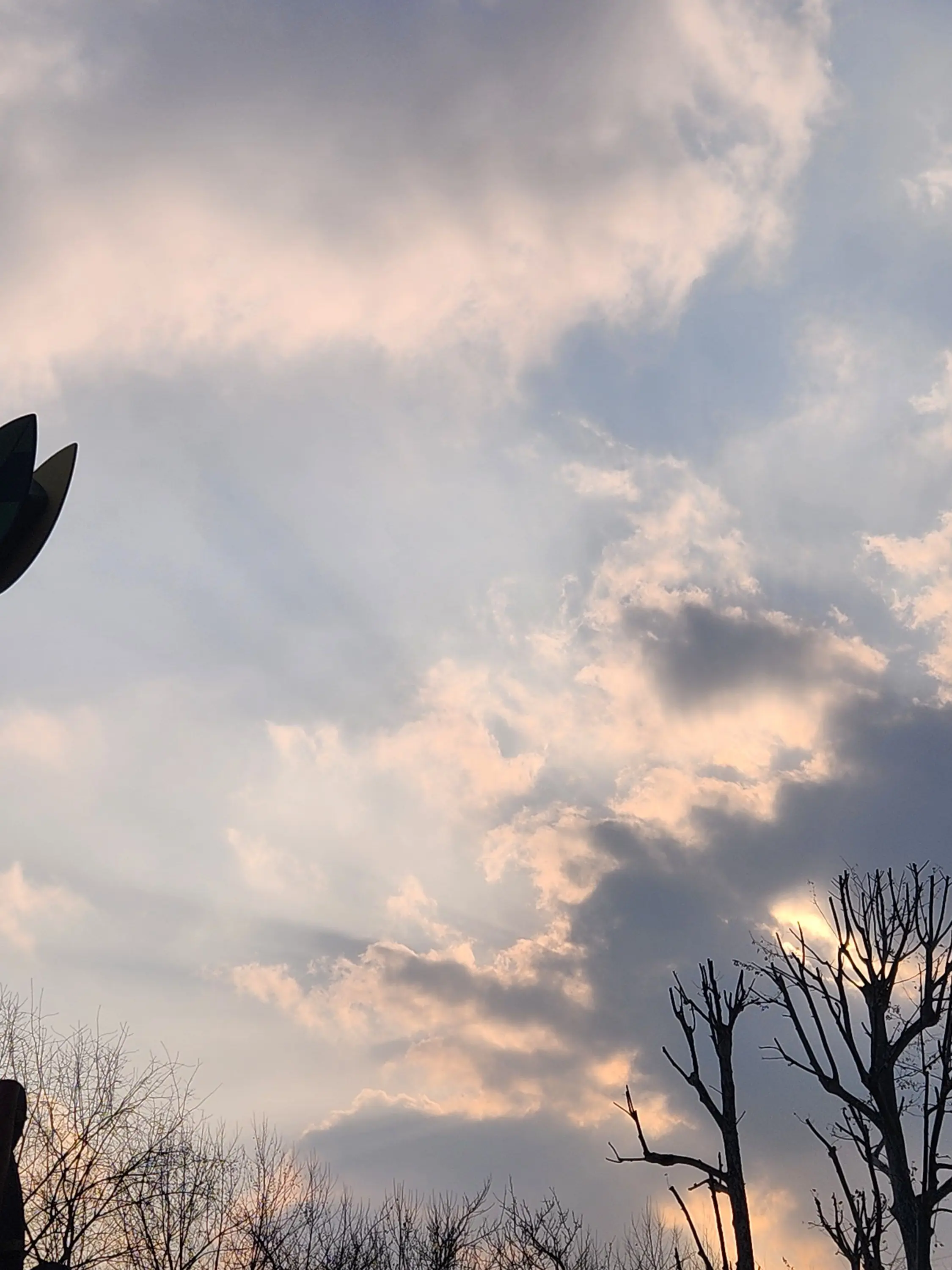 FloralRoot0373의 틱톡에서 본거 만들기 28일차