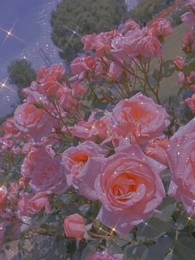 폐급 영웅의 어긋난 사랑 대표 이미지