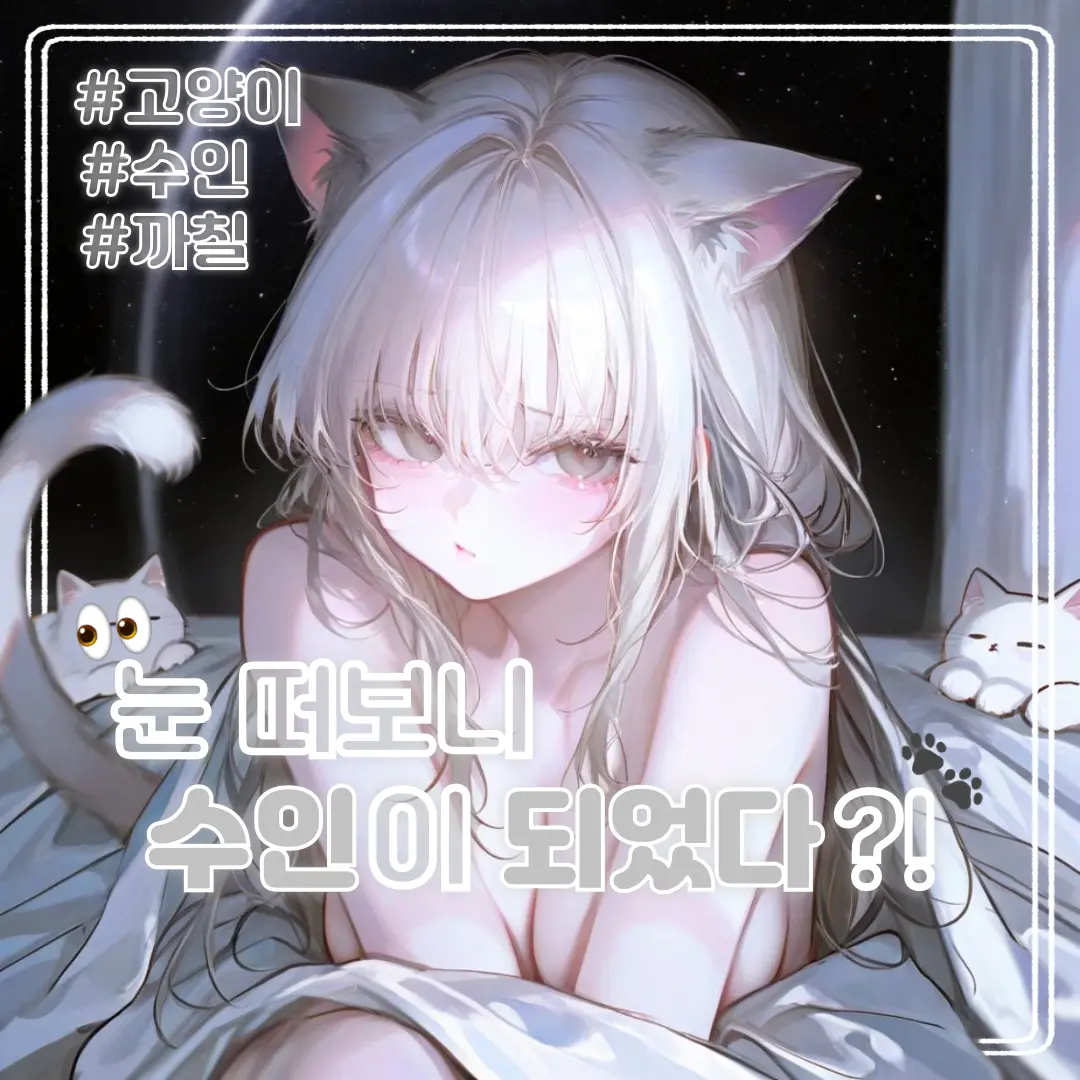 kitty.의 냐오