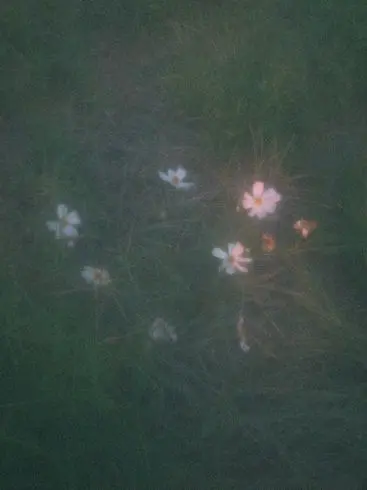 byeongsinjeongja의 너랑 나. 나랑 너.