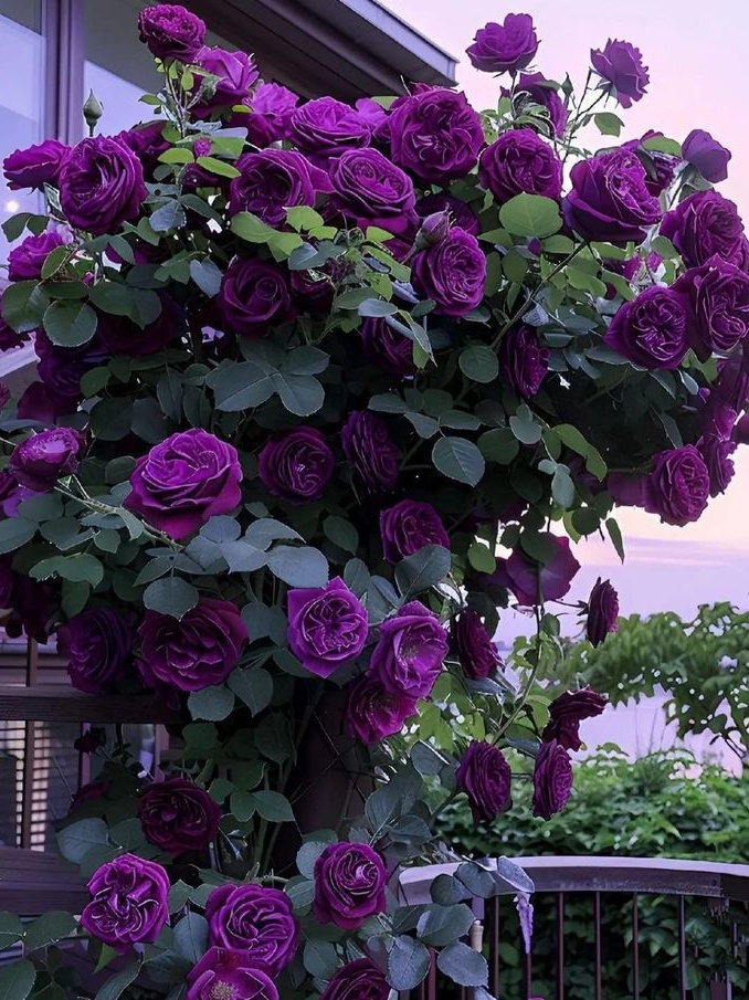 ☔️🥀 대표 이미지