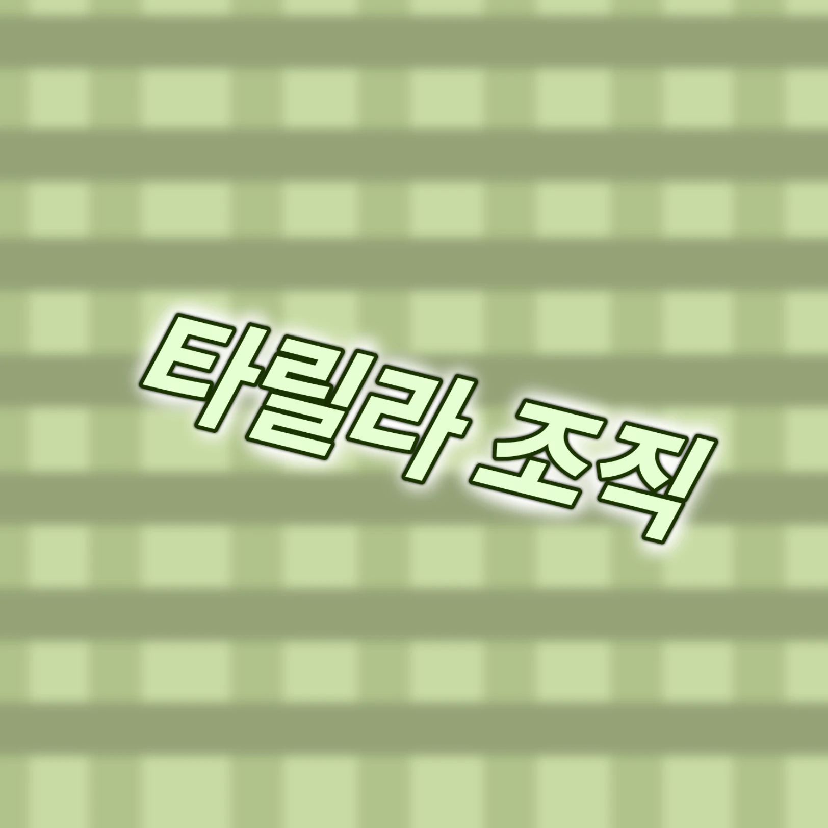 타릴라 조직