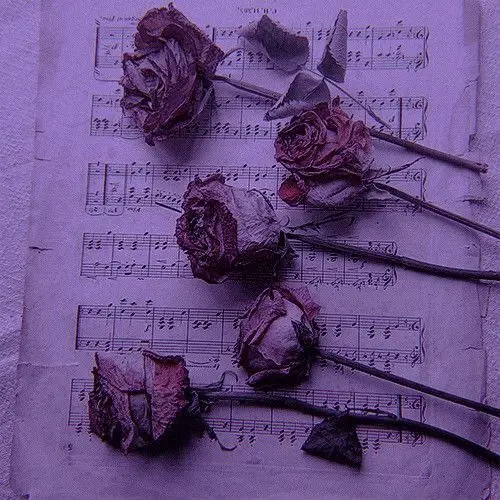 YES111의 오픈채팅방