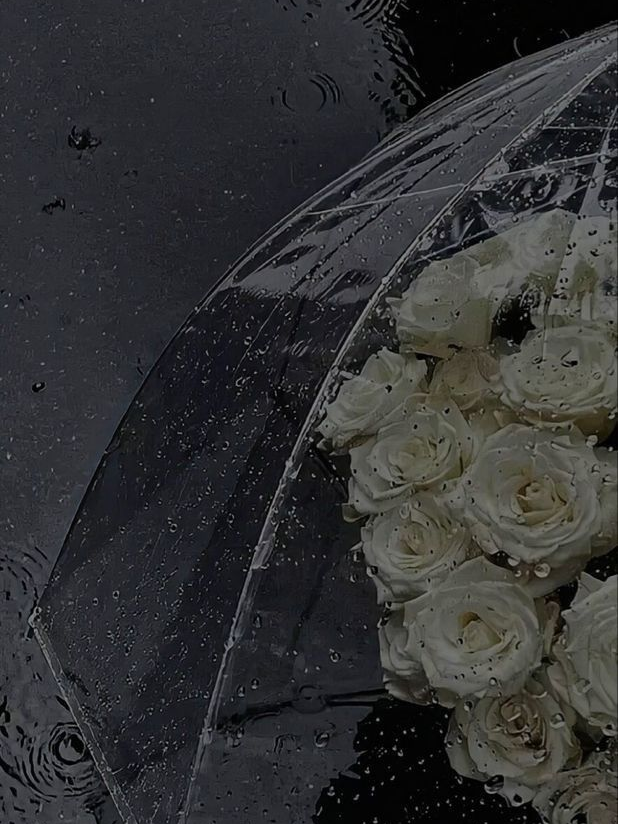 개인용 대표 이미지