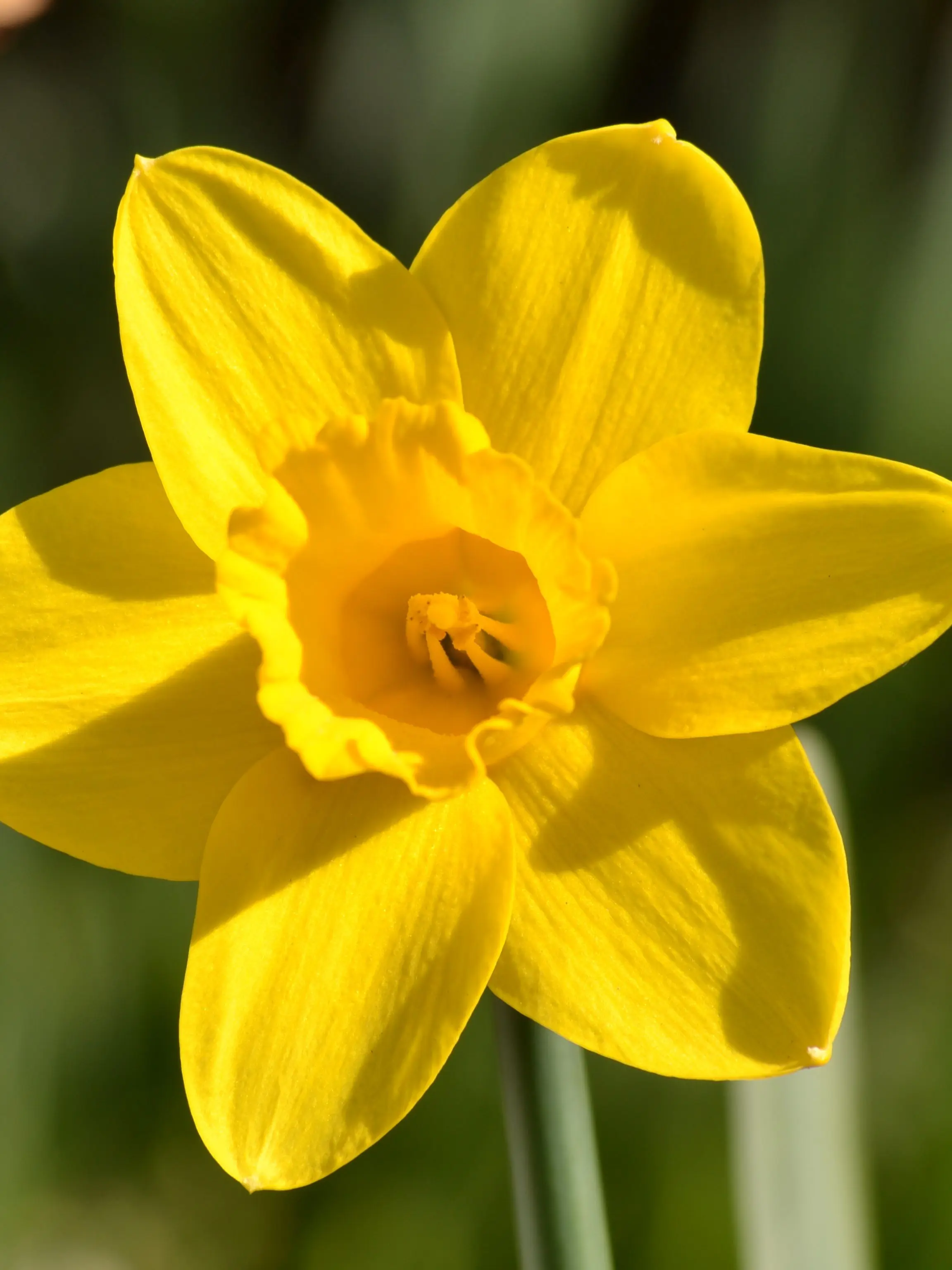 PlaidPlate8765의 0423