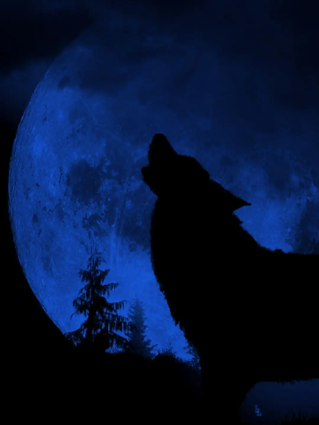 osini_nouyakareman00의 着せ替え人形