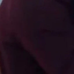 폭군 금성제.