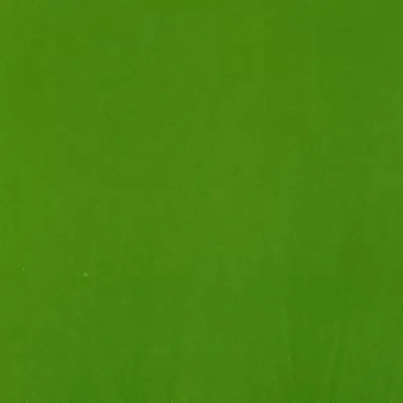 810.1919.0721.76.4545의 文化祭。