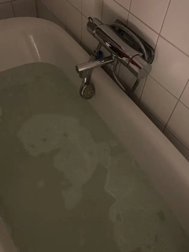 KeenGrebe9858의 ㅤㅤ