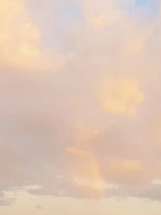 LinearSwine2837의 ∵