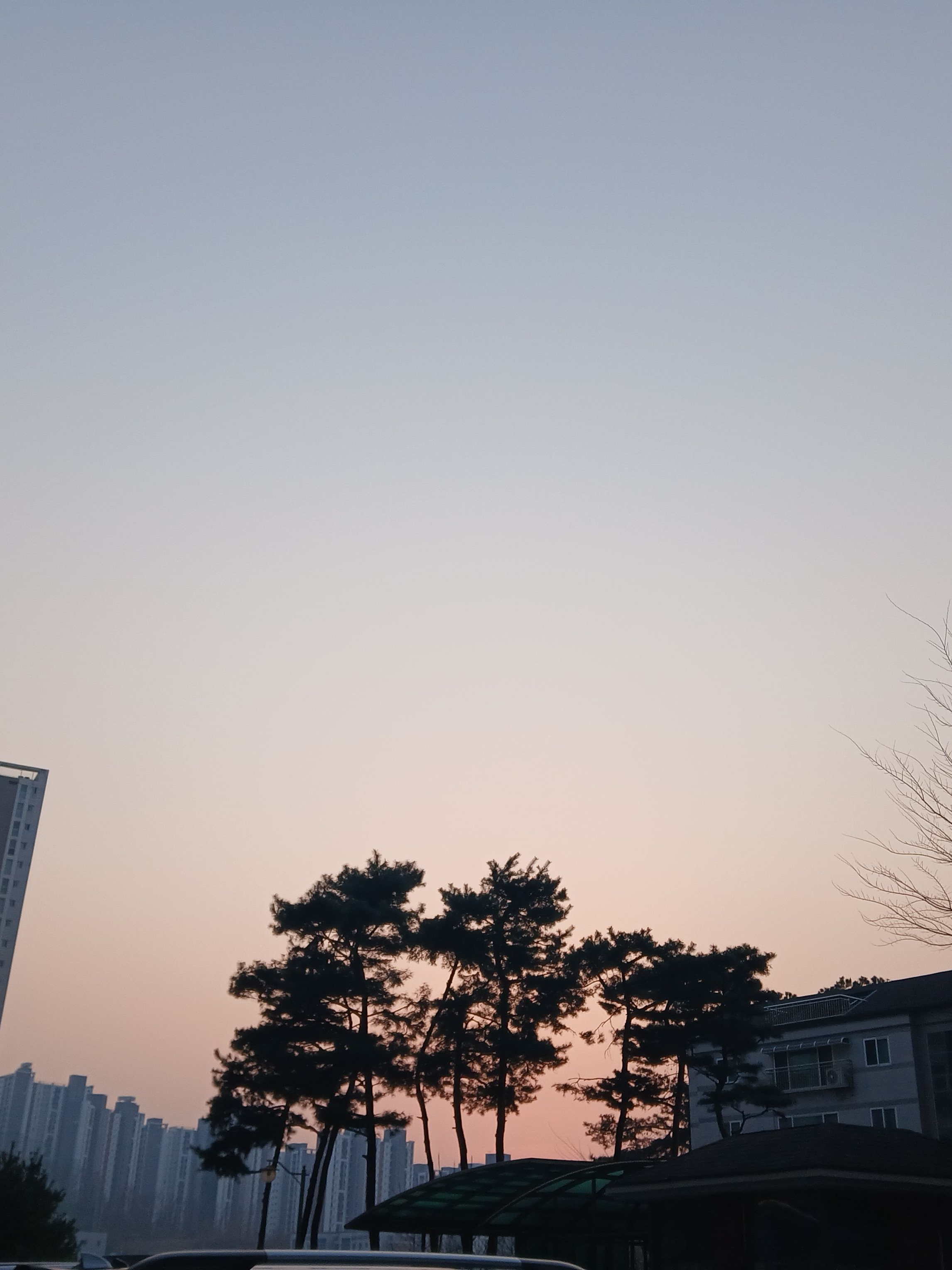 네? 또라이들과 동거요? + (여우) 대표 이미지