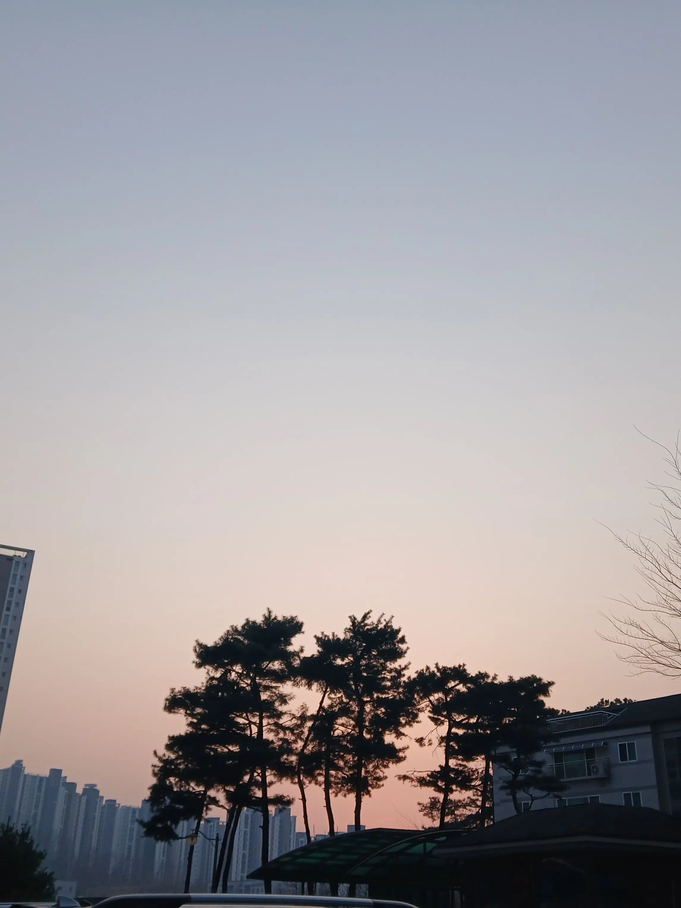 Kim_resin의 네? 또라이들과 동거요? + (여우)