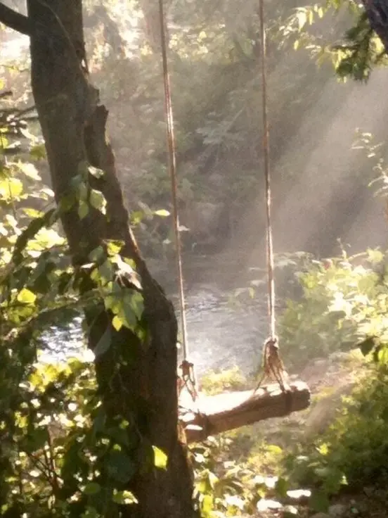MauveFly8658의 The Forest