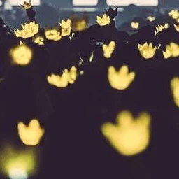 スンリになってみよ〜(BIGBANG)