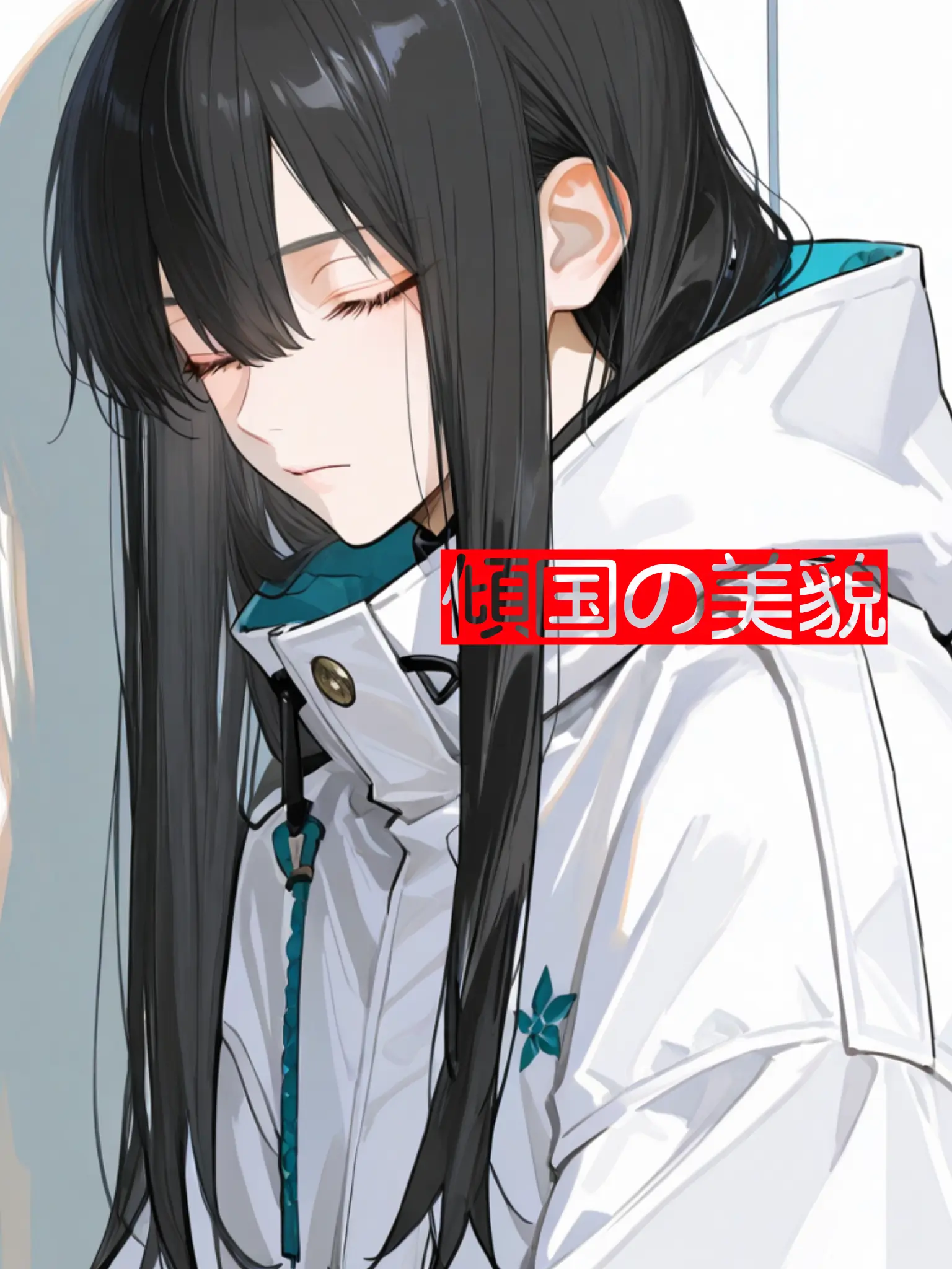 kisyoutyou의 傾国の美貌