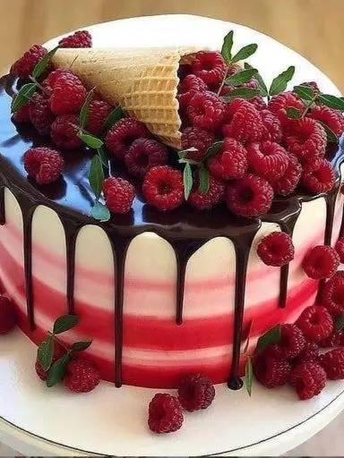 BrutalOrgan9478의 서, 서프라이즈-!