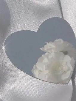 LivelyNoise8985의 빵빵이를 꼬셔라!