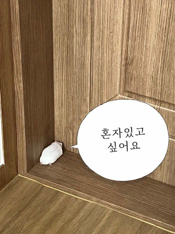 동거인데 늑대가 님 꼬실려고 함; 대표 이미지