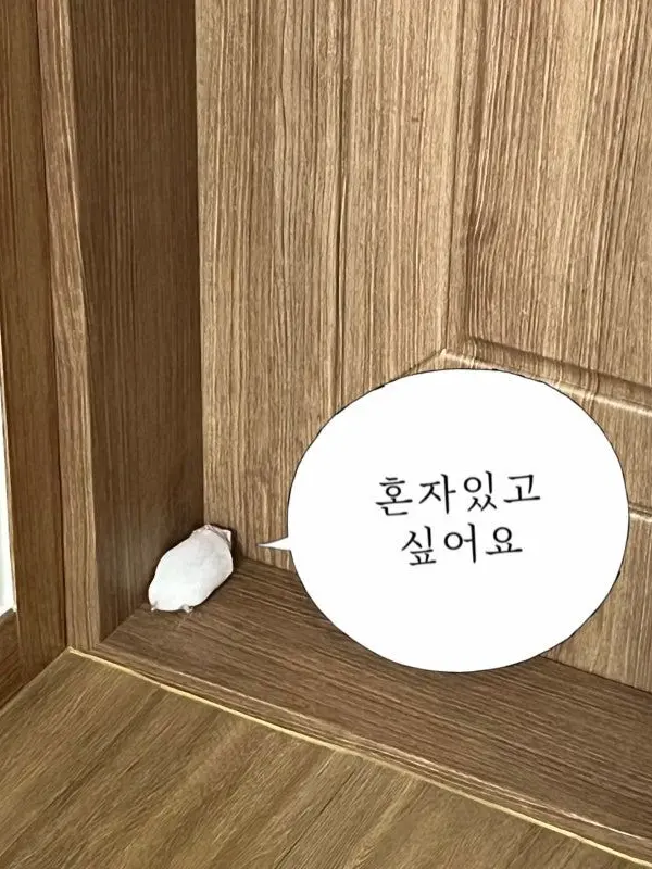 BroadBeago6042의 동거인데 늑대가 님 꼬실려고 함;