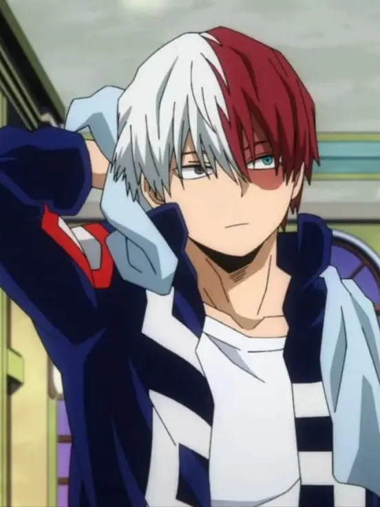 Novachanz의 Shoto Todoroki