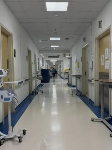 NosyRadar6297의 애착인형