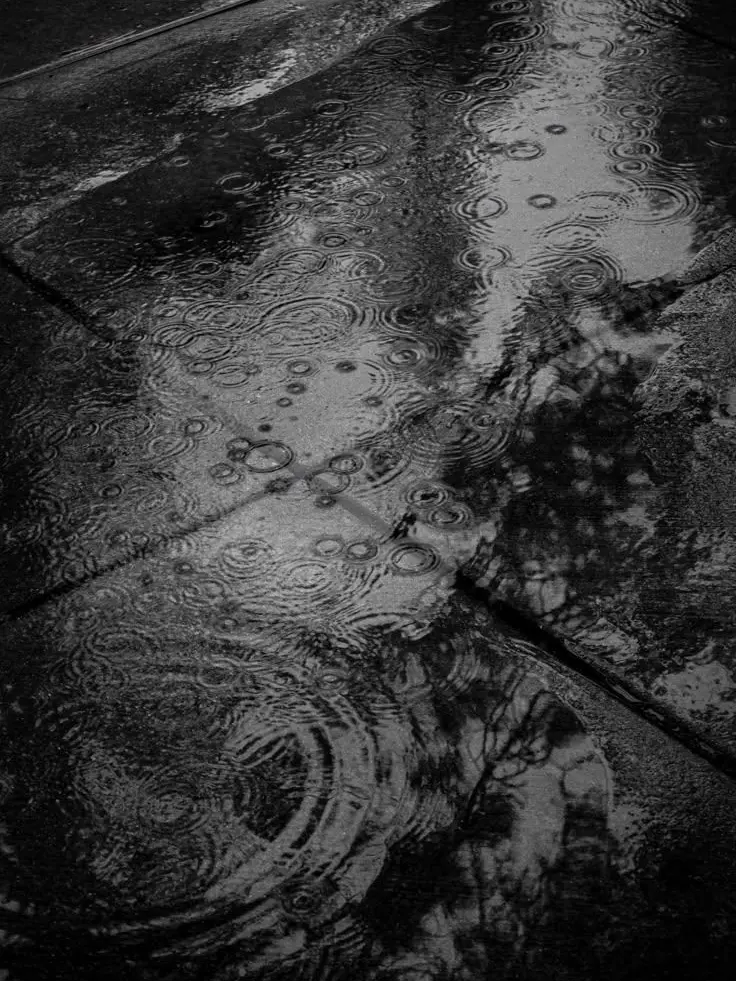 _LoLang의 소나기