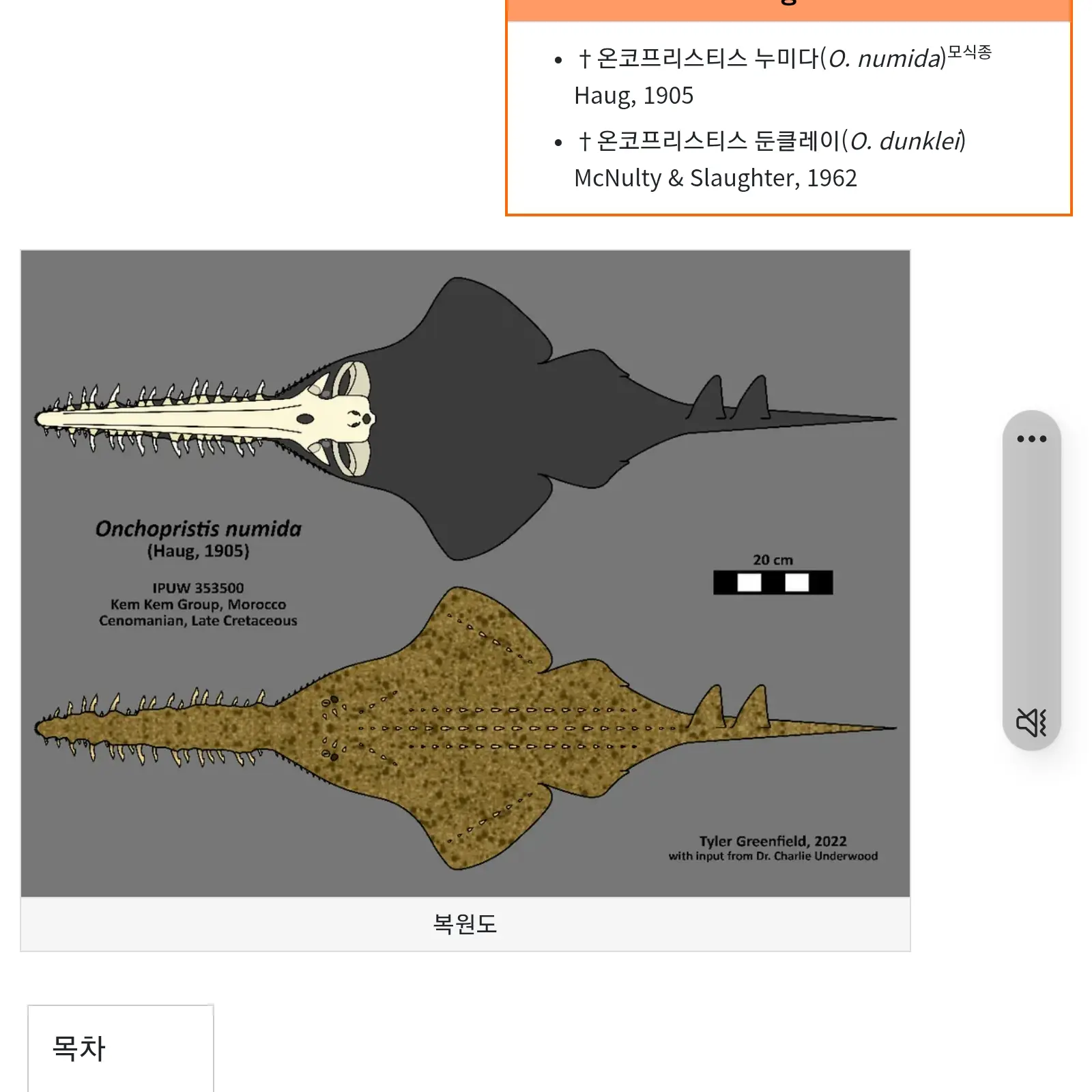 FolksyCarp1259의 온코프리스티스
