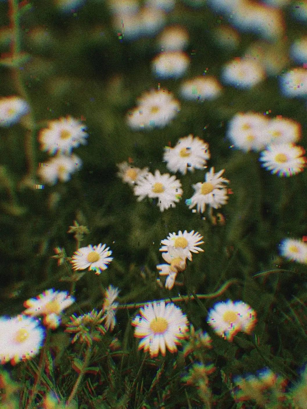 YUMEN0NAKA의 Daisy Bell.