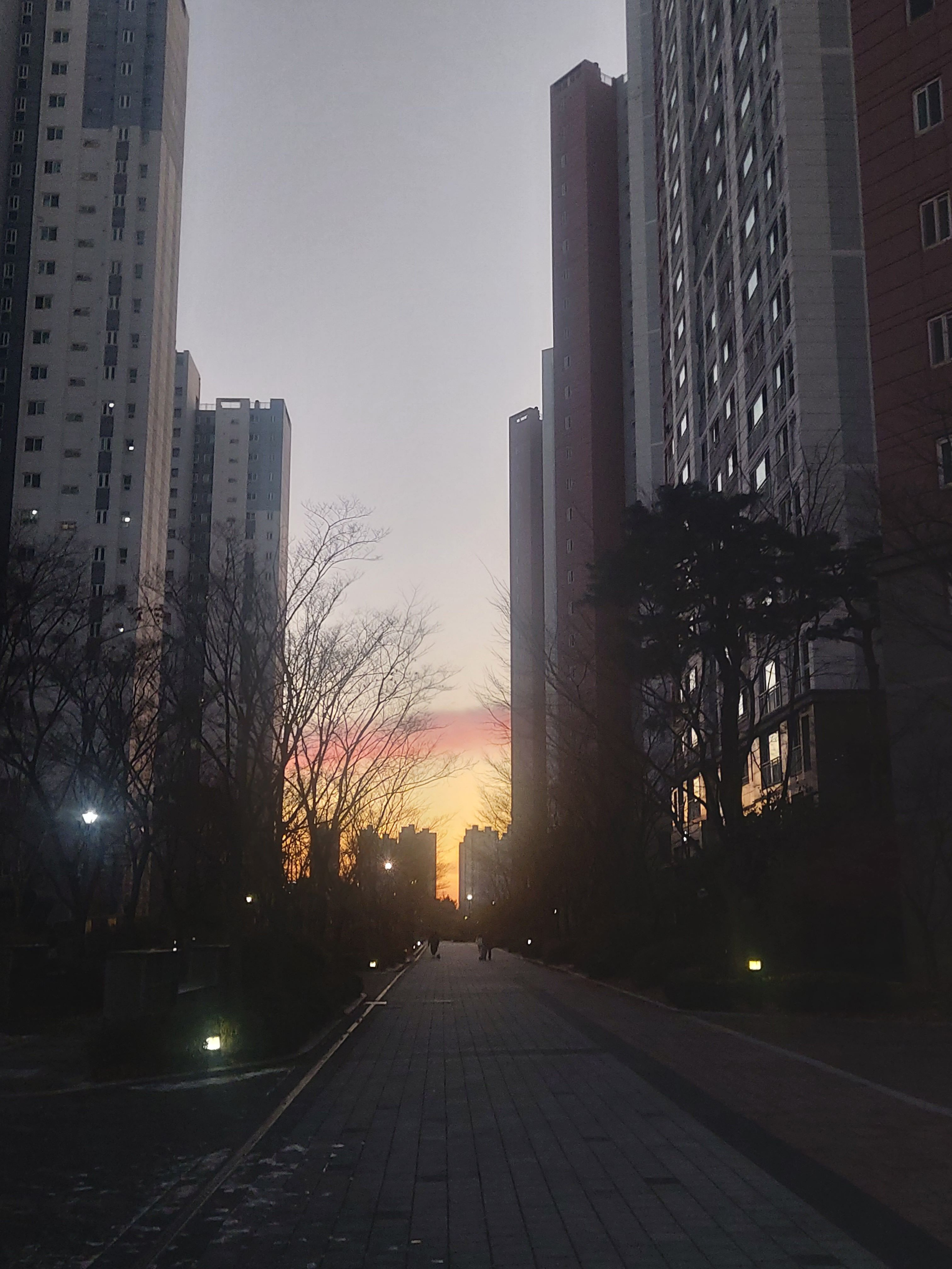 5학년 4반 대표 이미지